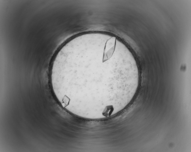 X0000102861212200809151203