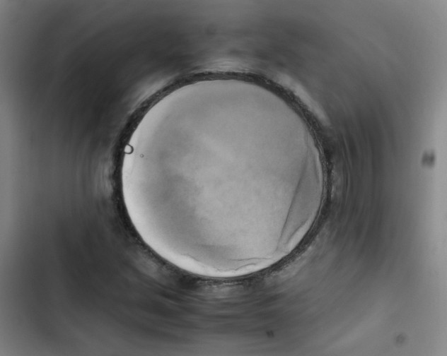 X0000102861213200809151203