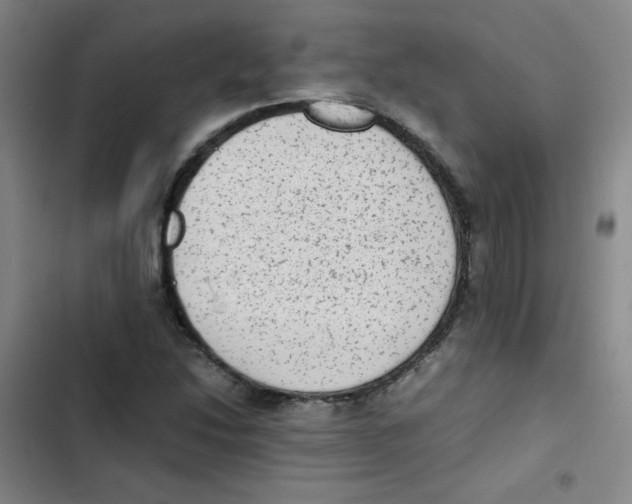 X0000102861214200809151203