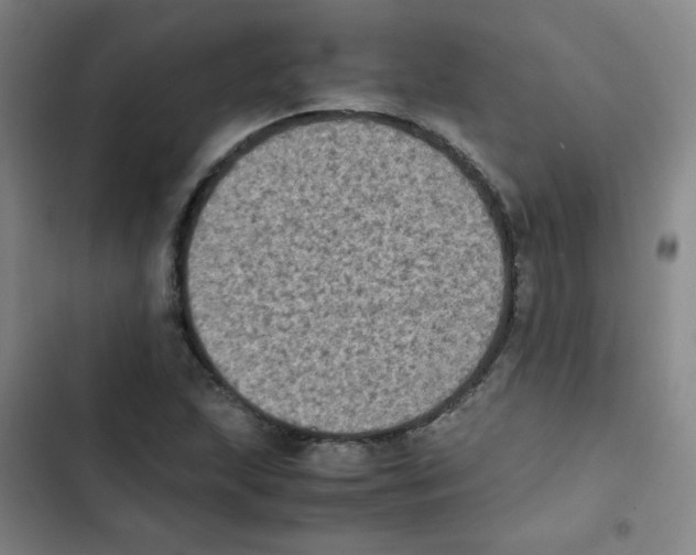 X0000102861215200809151203