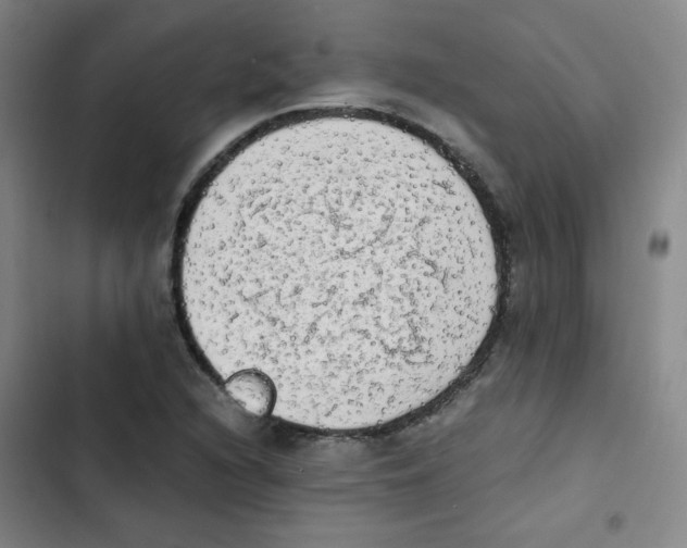 X0000102861216200809151203