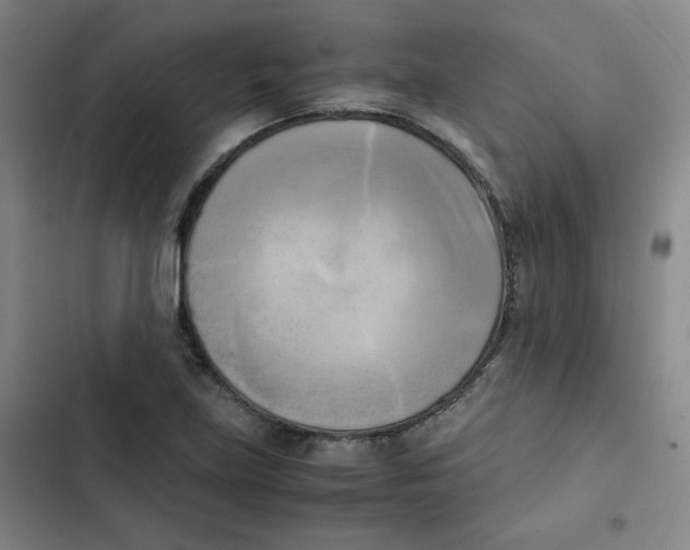 X0000102861219200809151203