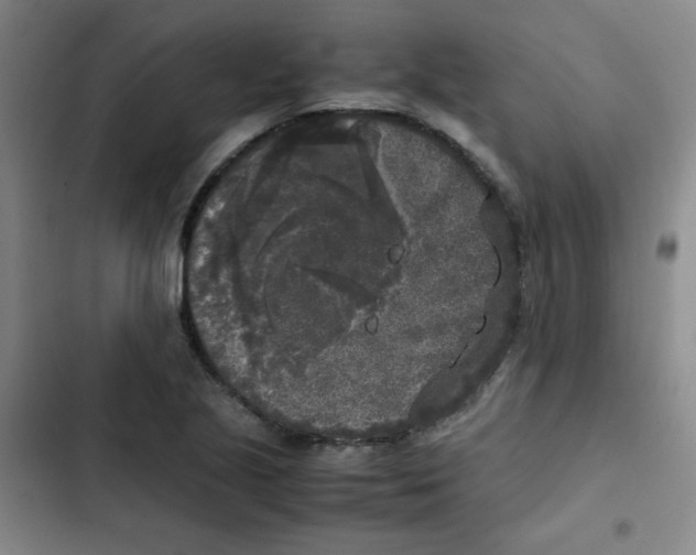 X0000102861221200809151203