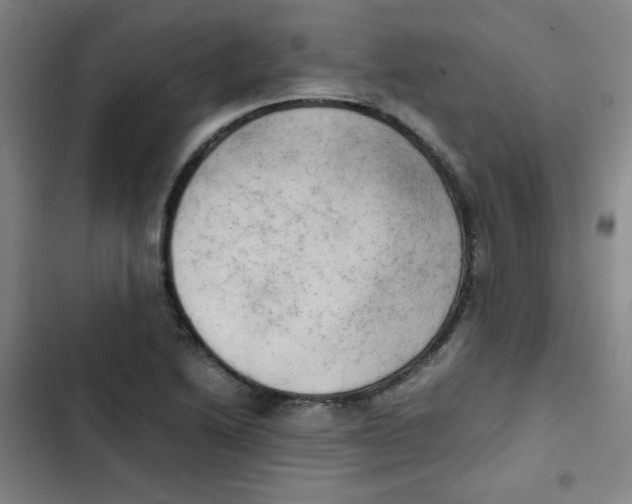 X0000102861222200809151203