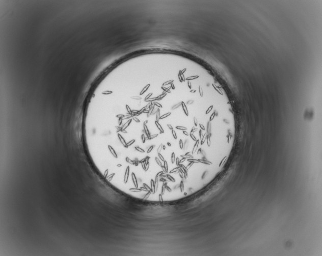 X0000102861224200809151203