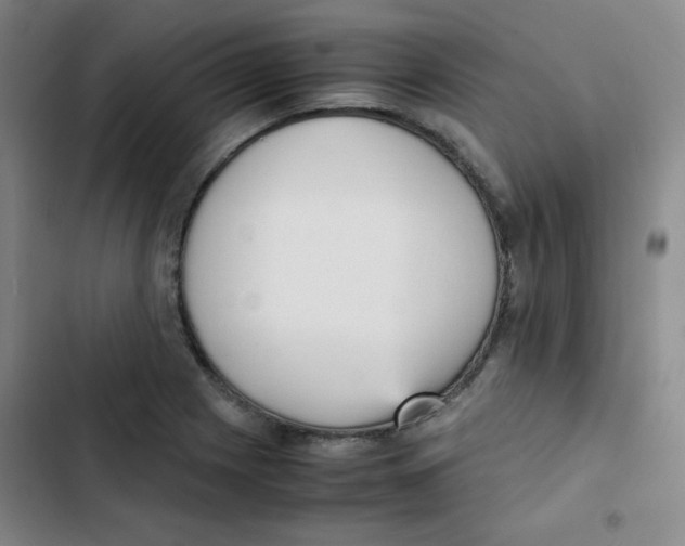 X0000102861225200809151203