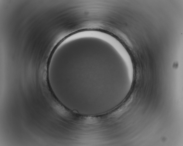 X0000102861226200809151203