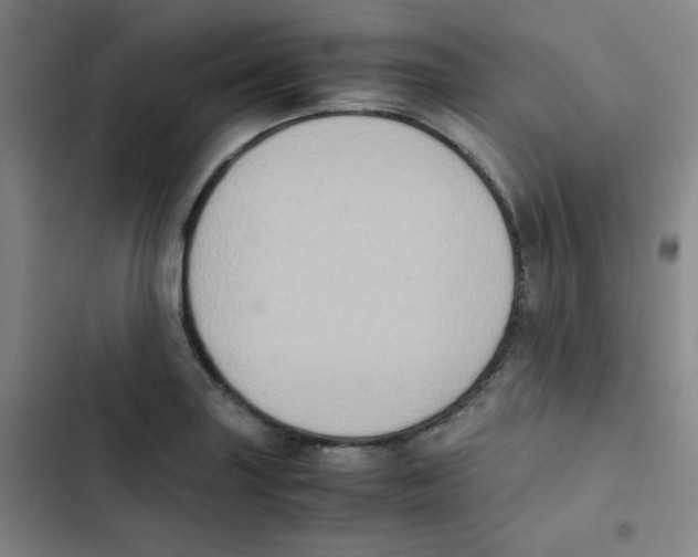 X0000102861227200809151203