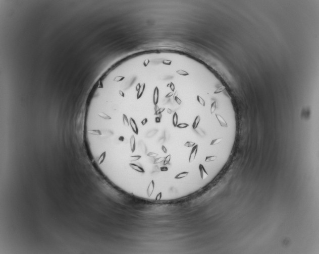 X0000102861228200809151203