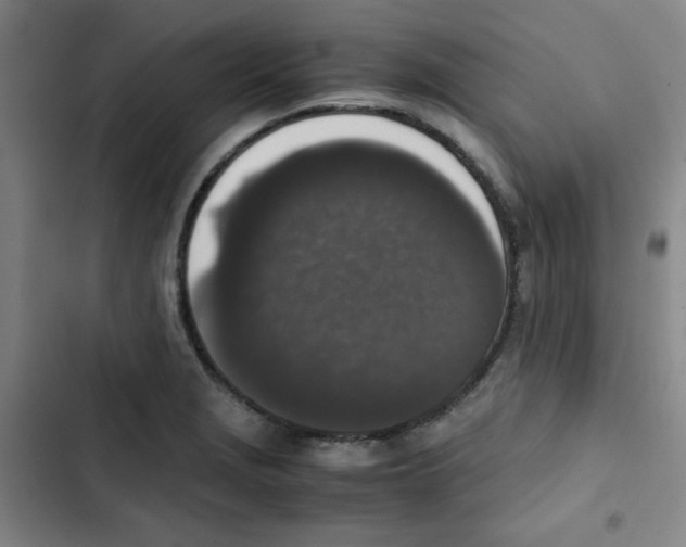 X0000102861229200809151203