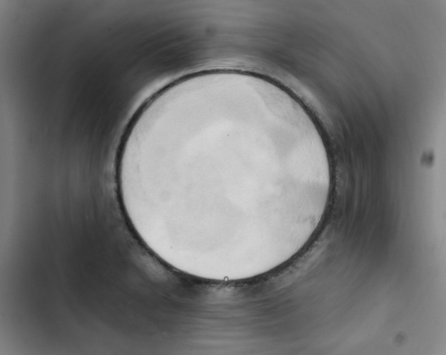 X0000102861230200809151203