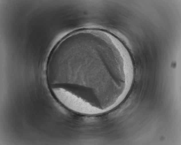 X0000102861231200809151203