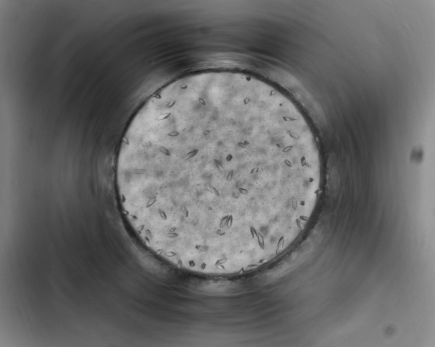 X0000102861233200809151203