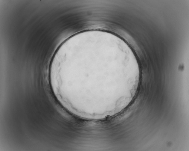 X0000102861234200809151203