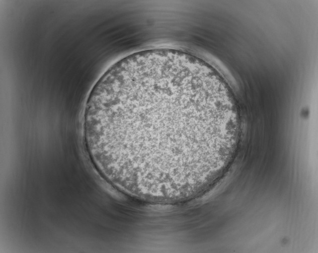 X0000102861236200809151203