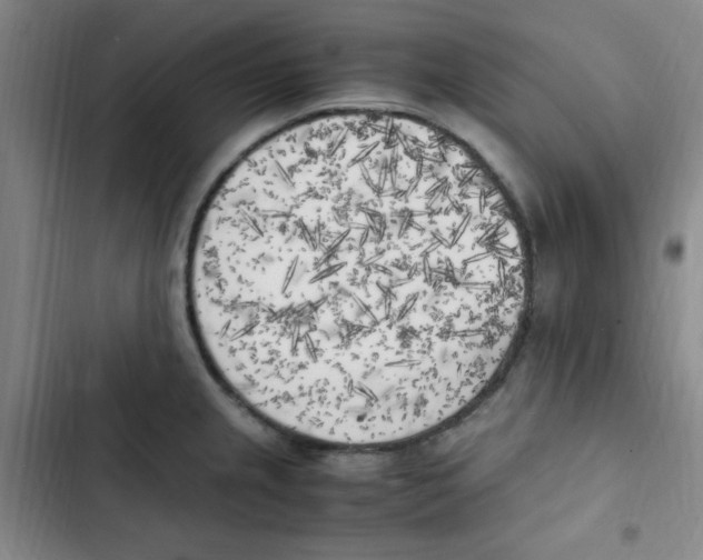 X0000102861237200809151203