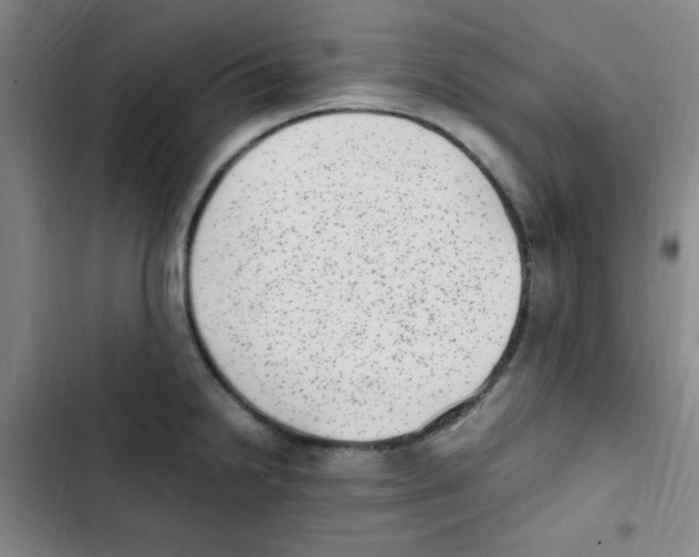 X0000102861238200809151203