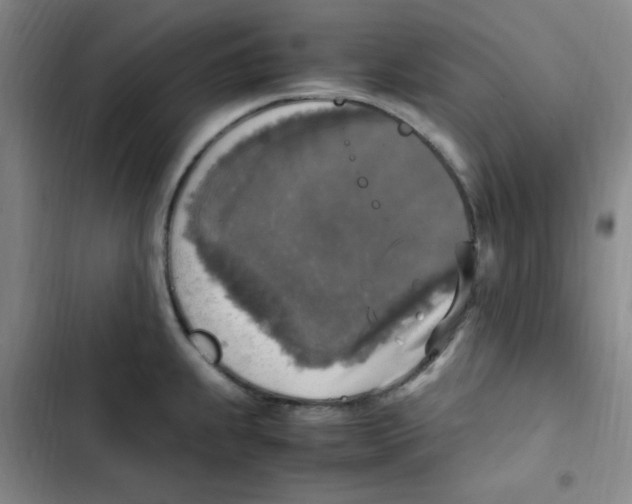 X0000102861239200809151203