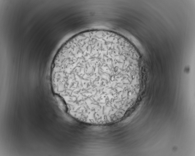 X0000102861240200809151203