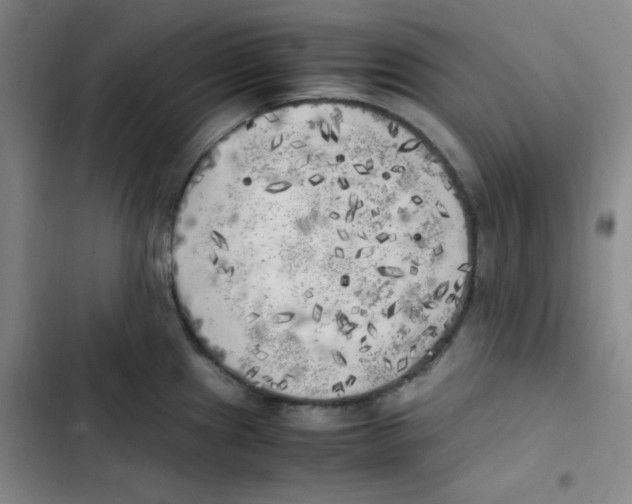 X0000102861241200809151203