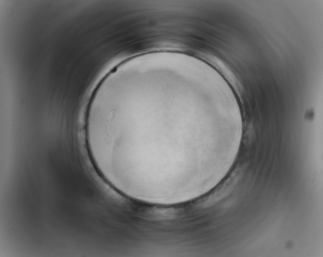 X0000102861243200809151203