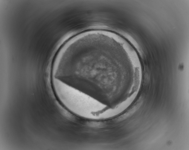 X0000102861245200809151203