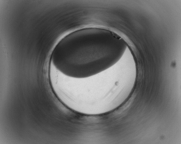 X0000102861246200809151203