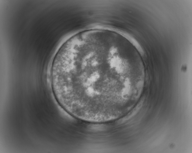 X0000102861247200809151203