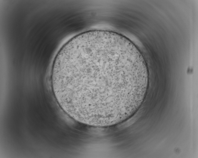 X0000102861248200809151203