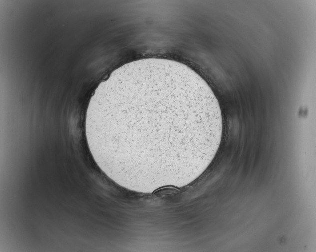 X0000102861250200809151203