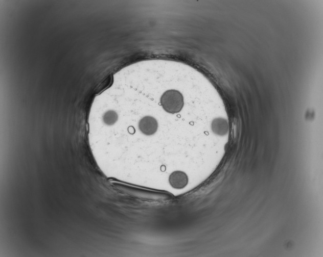 X0000102861251200809151203