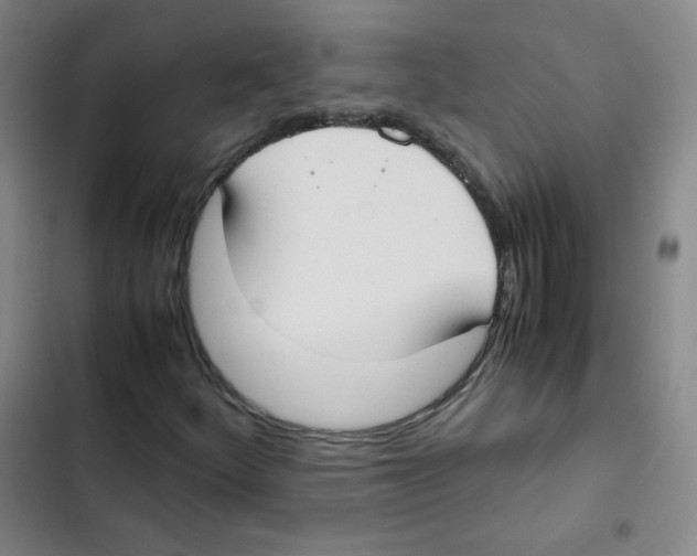 X0000102861252200809151203