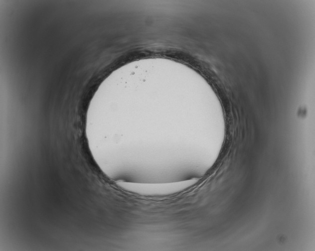 X0000102861253200809151203