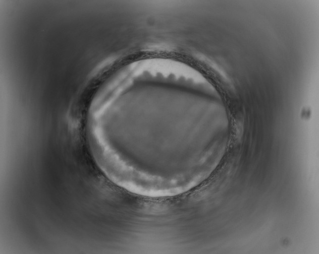 X0000102861254200809151203