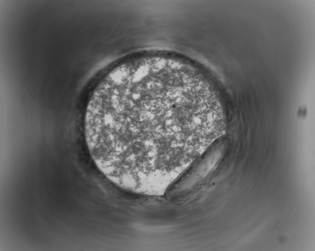 X0000102861255200809151203