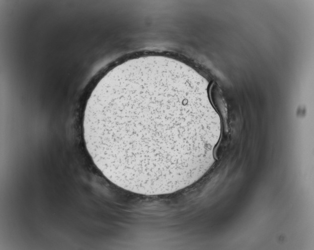 X0000102861256200809151203