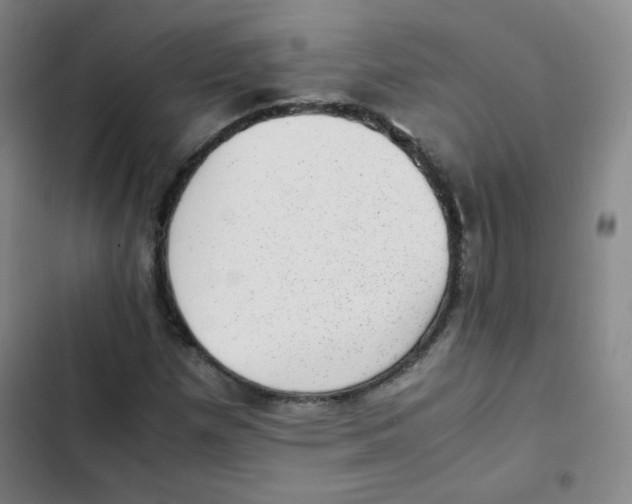 X0000102861257200809151203