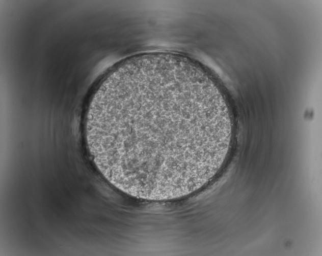 X0000102861259200809151203