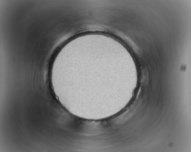 X0000102861261200809151202