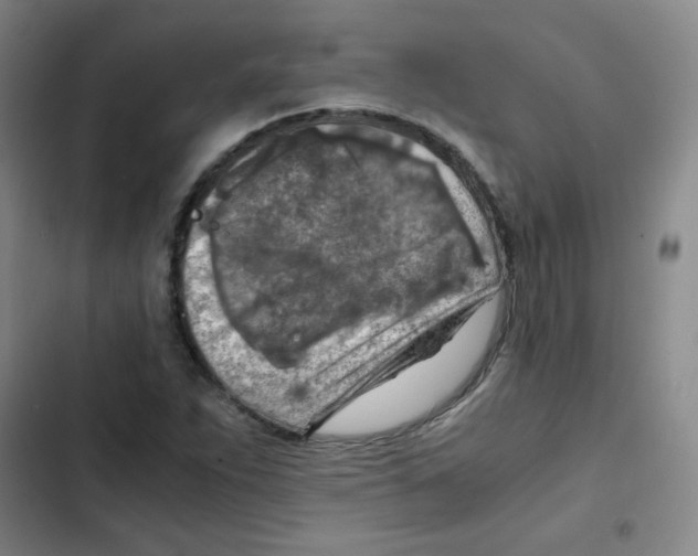 X0000102861263200809151202