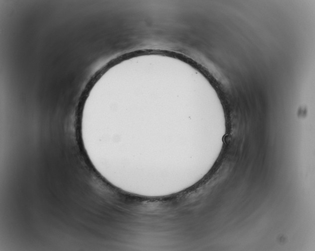 X0000102861264200809151202