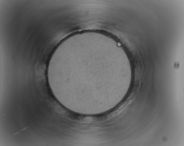 X0000102861265200809151202