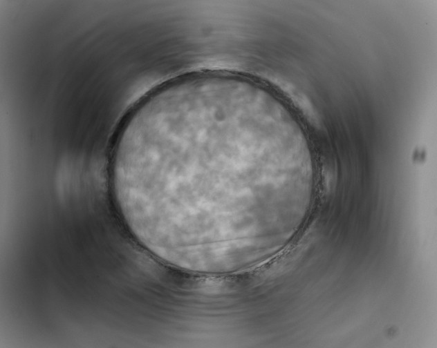 X0000102861266200809151202