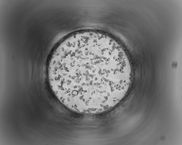 X0000102861267200809151202