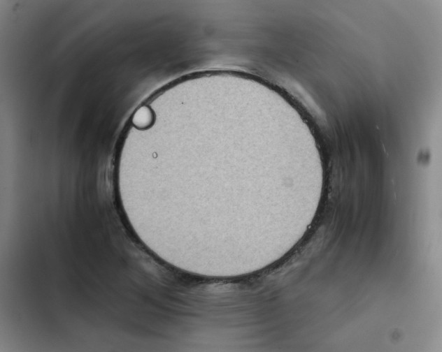 X0000102861268200809151202