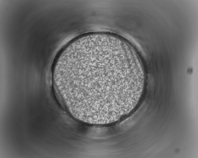 X0000102861269200809151202