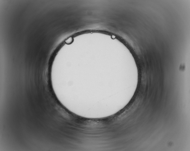 X0000102861270200809151202