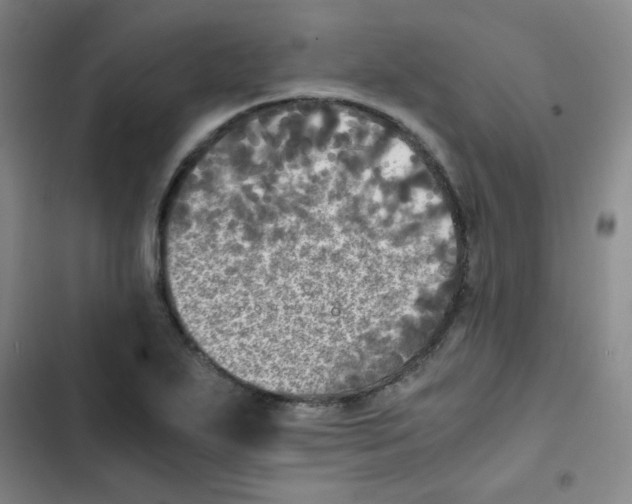 X0000102861271200809151202