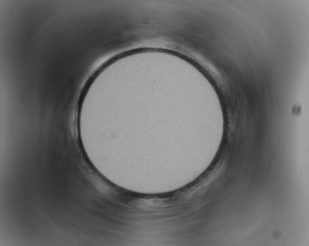 X0000102861272200809151202