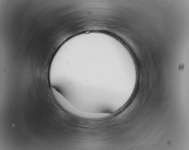 X0000102861273200809151202